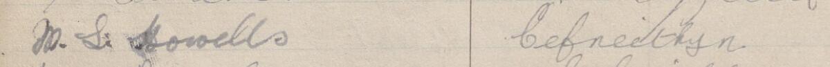 Image of M. S. Howells's signature and address in the petition