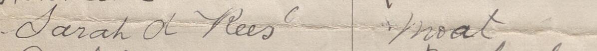 Image of Sarah A Rees's signature and address in the petition