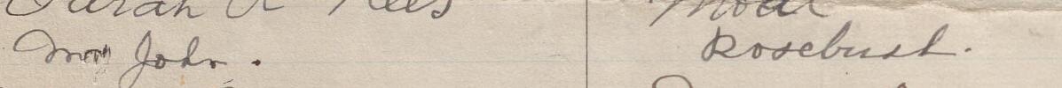 Image of Mrs John's signature and address in the petition