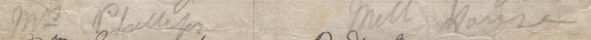 Image of Mrs Phillips's signature and address in the petition