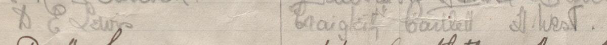 Image of D E Lewis's signature and address in the petition