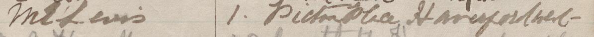 Image of M E Lewis's signature and address in the petition