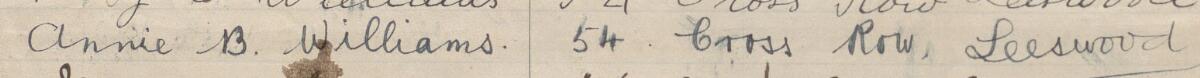 Image of Annie B. Williams's signature and address in the petition