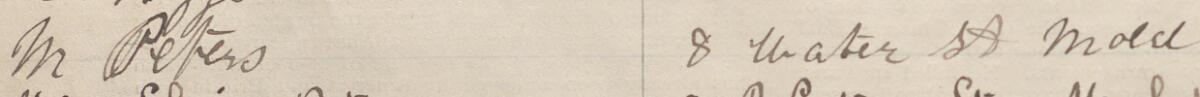 Image of M Peters's signature and address in the petition