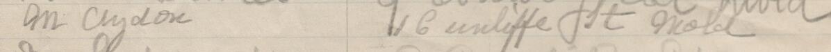Image of M Clydon's signature and address in the petition