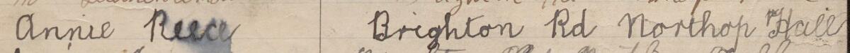 Image of Annie Reece's signature and address in the petition