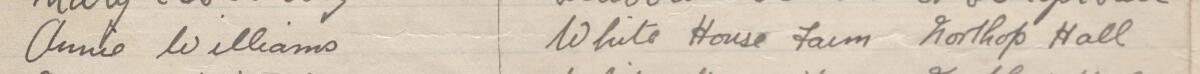 Image of Annie Williams's signature and address in the petition