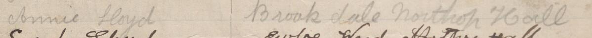Image of Annie Lloyd's signature and address in the petition