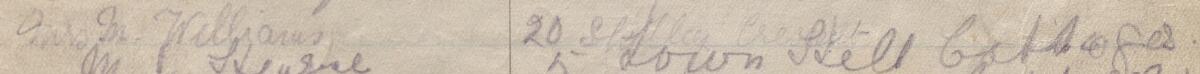 Image of Mrs M Williams's signature and address in the petition