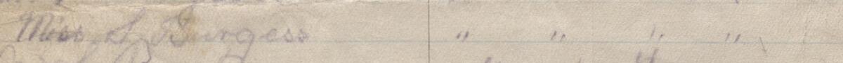 Image of Miss S Burgess's signature and address in the petition