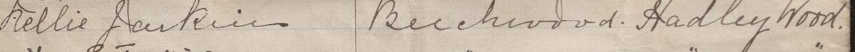 Image of Nellie Jenkins's signature and address in the petition