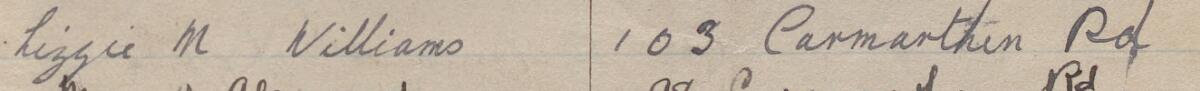 Image of Lizzie M Williams's signature and address in the petition