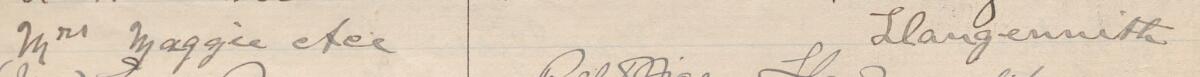Image of Mrs Maggie Ace's signature and address in the petition