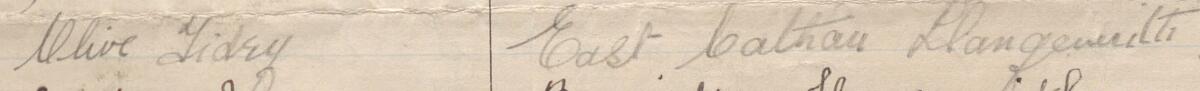 Image of Olive Tidey's signature and address in the petition