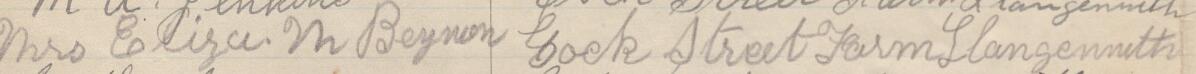 Image of Mrs Eliza M Beynon's signature and address in the petition