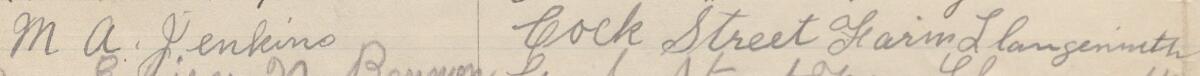 Image of M. A. Jenkins's signature and address in the petition