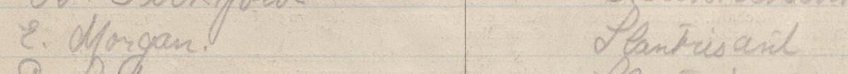 Image of E Morgan's signature and address in the petition