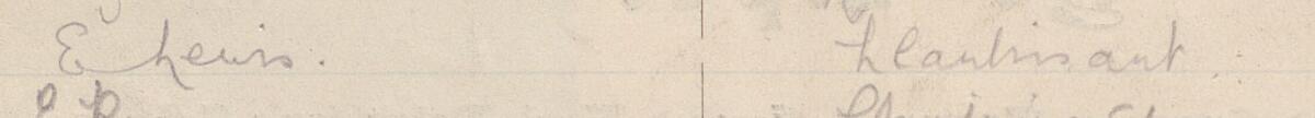 Image of E Lewis's signature and address in the petition