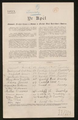 Petition - 11/115 - Treorchy