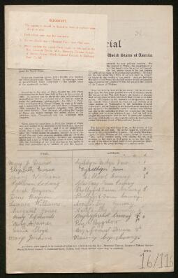 Petition - 16/116 - Trimsaran