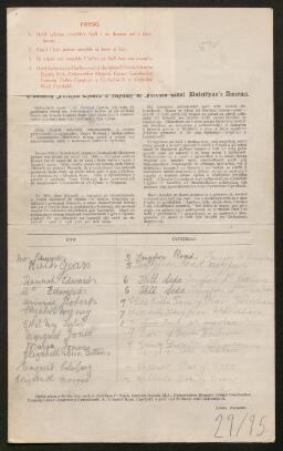 Petition - 29/95 - Brymbo