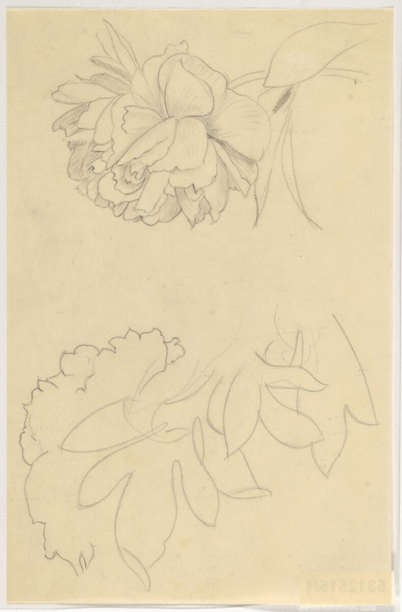 Drawing volume