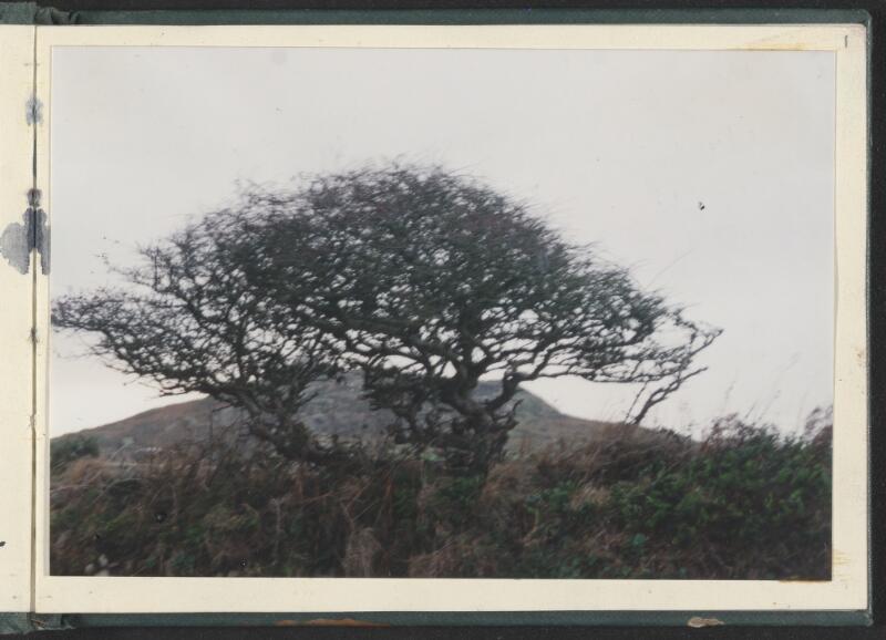 Newport, Pembrokeshire